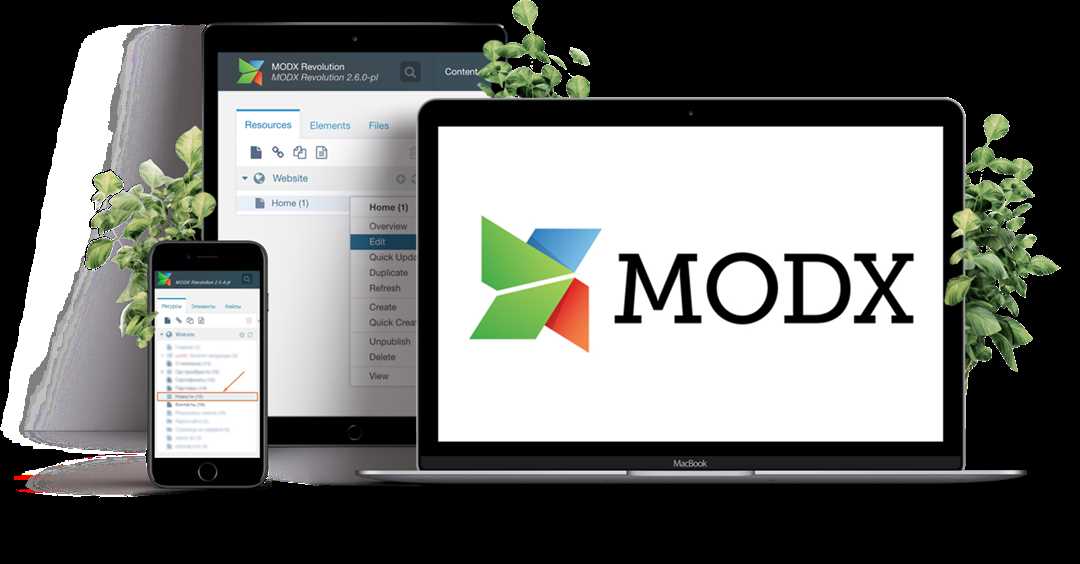 Создание и разработка сайта на MODx